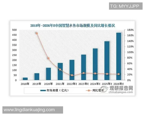 厄德高在国际足坛的崛起之路与未来发展潜力分析